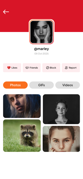 screenshoots